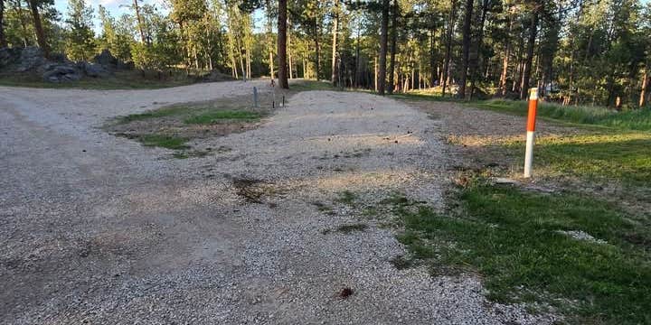 Camper submitted image from KPM RV Campsites