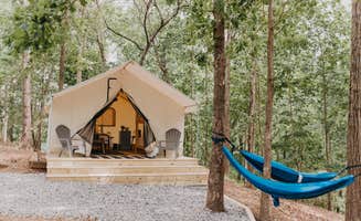 The Dyrt's photo at Timberline Glamping at Lake Lanier - River Forks near Gainesville, GA