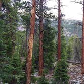 Review photo of Lower Lehman Campground — Great Basin National Park by Sarah L., September 30, 2016
