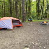 Review photo of Austin Hawes Memorial Campground — American Legion State Forest by Christine S., June 1, 2026