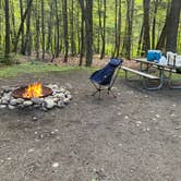 Review photo of Austin Hawes Memorial Campground — American Legion State Forest by Christine S., June 1, 2026