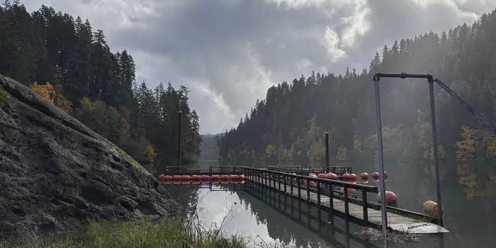 Camper submitted image from Loon Lake Recreation Site