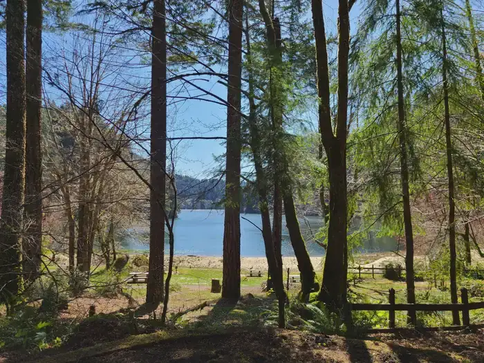 Camper-submitted photo at Loon Lake Recreation Site near Scottsburg, OR