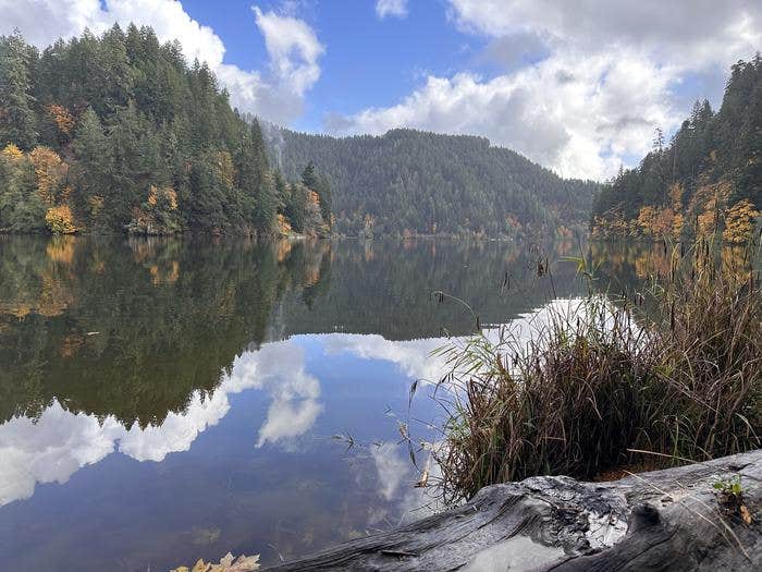 Camper-submitted photo at Loon Lake Recreation Site near Scottsburg, OR