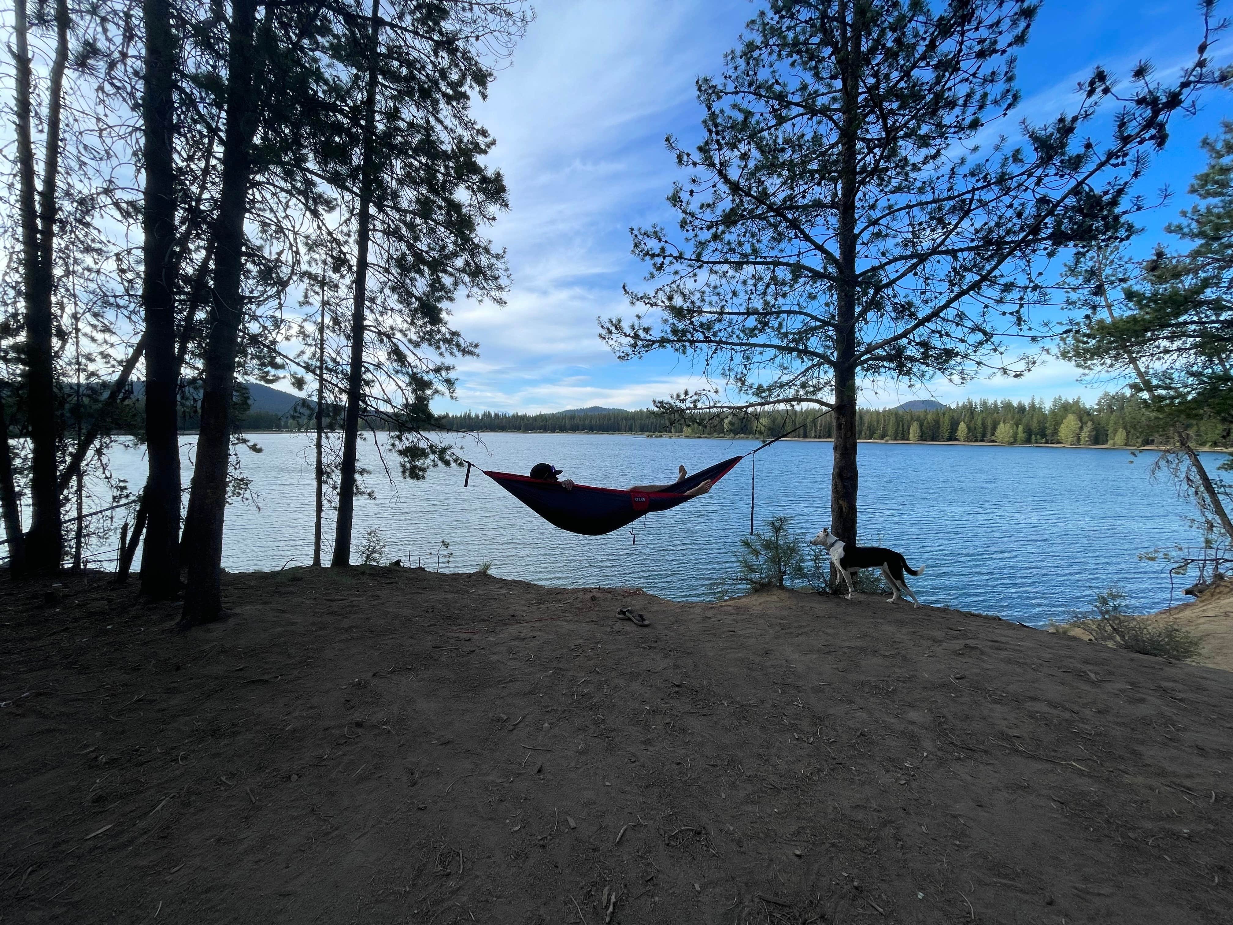 Camper-submitted photo at Dispersed wikiup camping near Gilchrist, OR