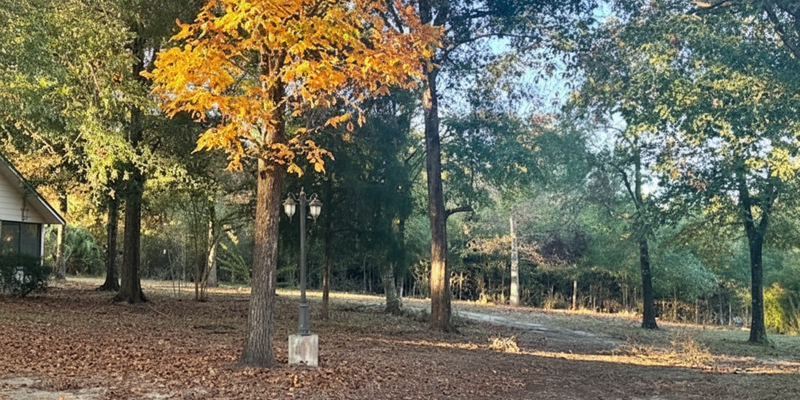 Camper submitted image from Three Springs RV Park, LLC