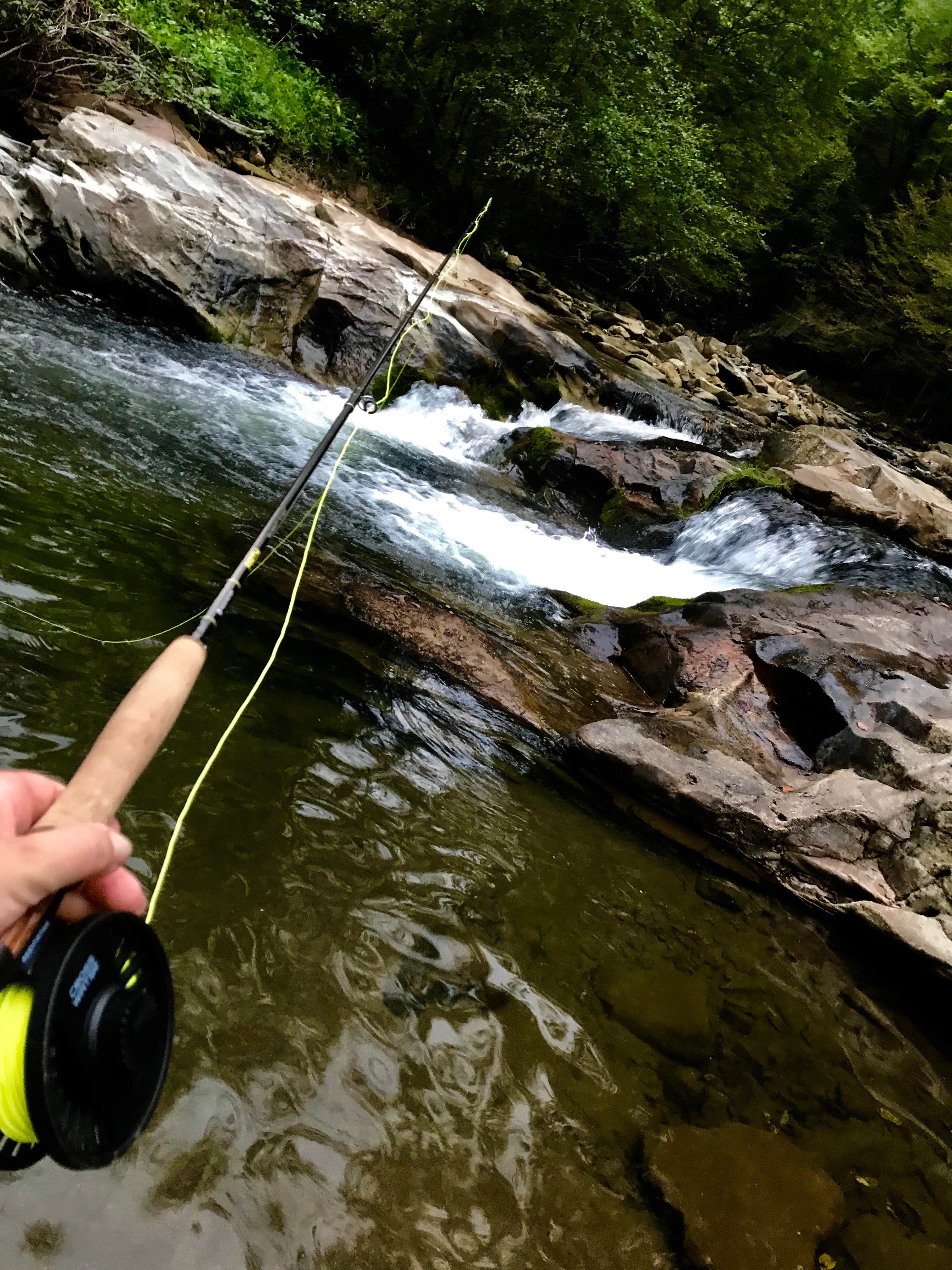 Camper-submitted photo at CreekFall BaseCamp near Fleetwood, NC