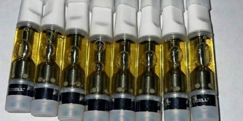 Camper submitted image from dmt carts for sale online usa near me ( 247mmeds@gmail.com)