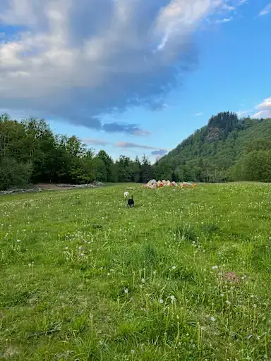 EverGrin Shire