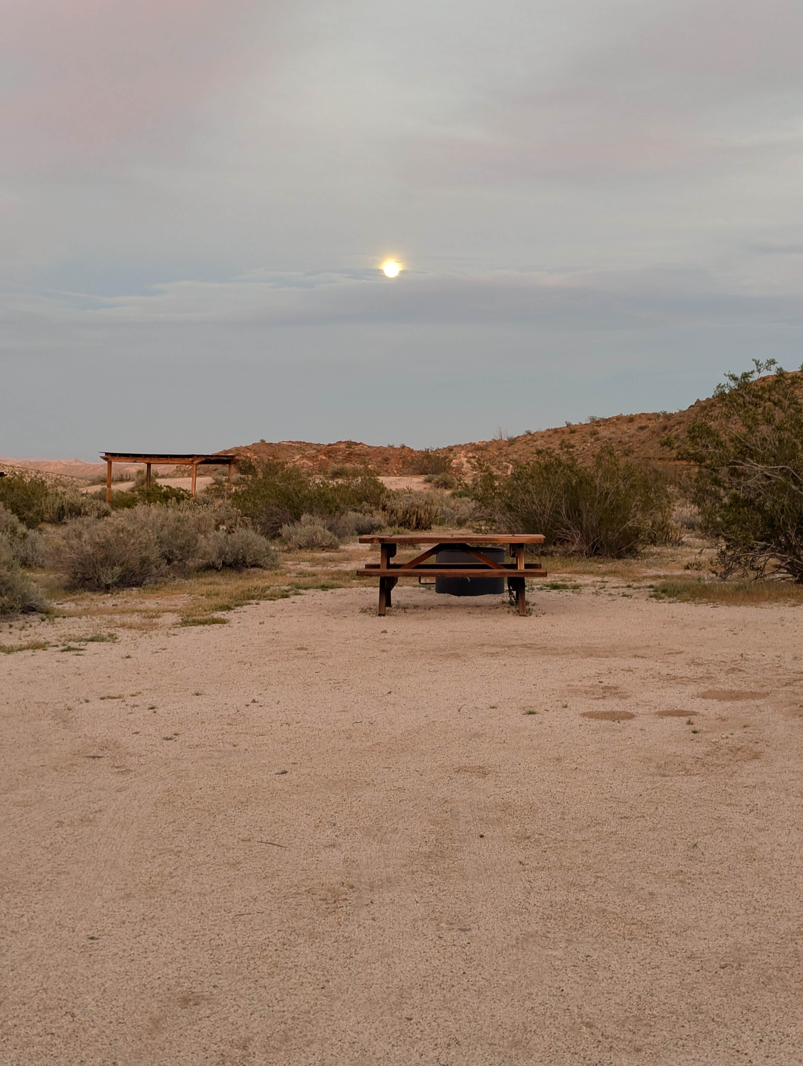 Camper-submitted photo at Bow Willow Primitive Campground — Anza-Borrego Desert State Park near Pine Valley, CA