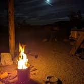 Review photo of Bow Willow Primitive Campground — Anza-Borrego Desert State Park by Dick T., June 3, 2026