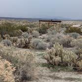 Review photo of Bow Willow Primitive Campground — Anza-Borrego Desert State Park by Dick T., June 3, 2026
