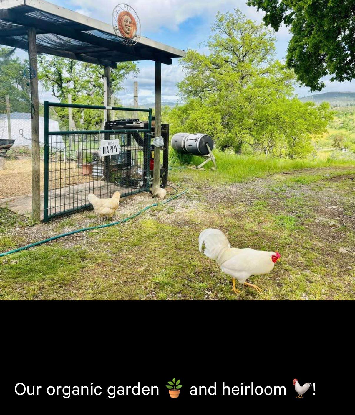 Camping near Huttopia Wine Country: Hidden Knoll Farm Glamping, Middletown, California