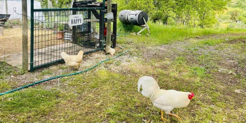 Camper submitted image from Hidden Knoll Farm Glamping