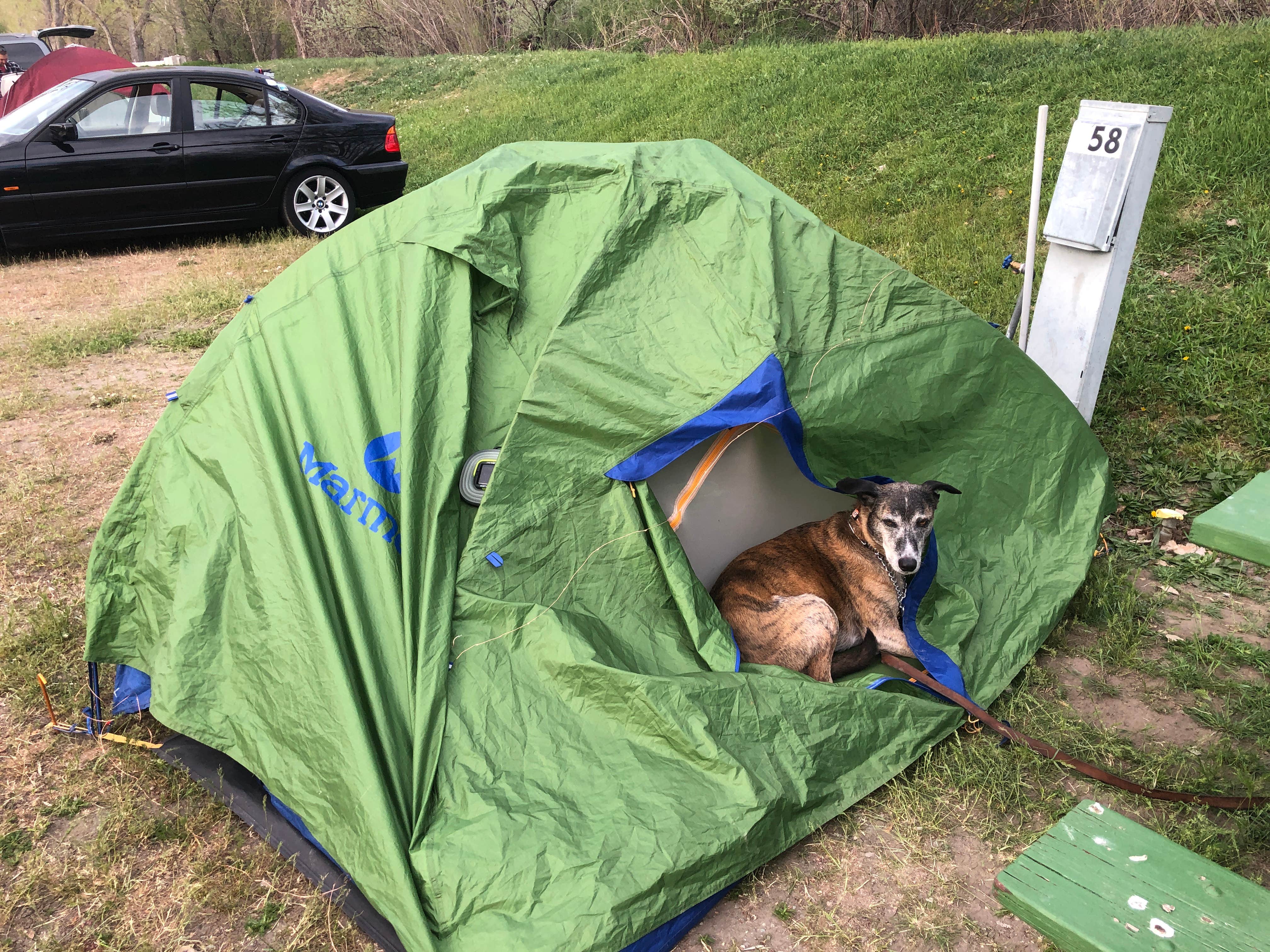 Sebastian D.'s photo at Billings KOA Holiday near Laurel, MT