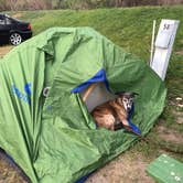 Review photo of Billings KOA Holiday by Sebastian D., June 4, 2026