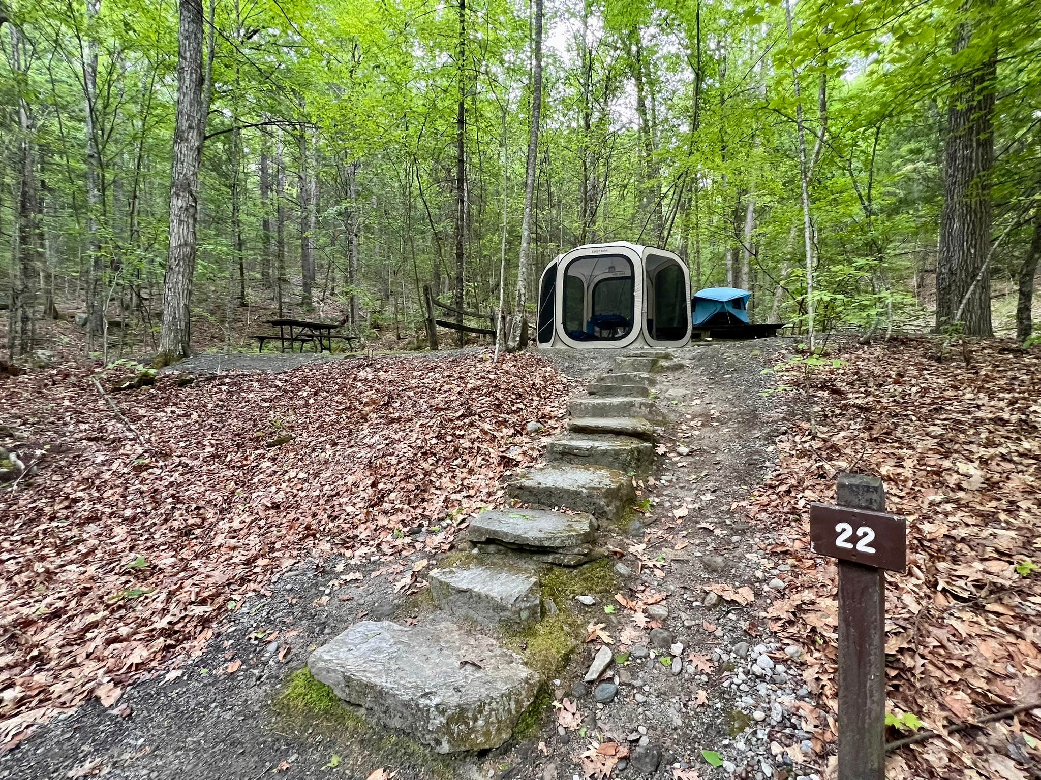 Lourdes's photo at Townshend State Park — Townshend State Forest near West Chesterfield, NH