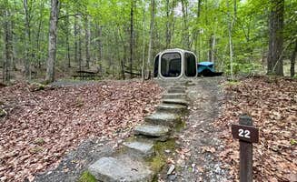 Lourdes's photo at Townshend State Park — Townshend State Forest near South Londonderry, VT