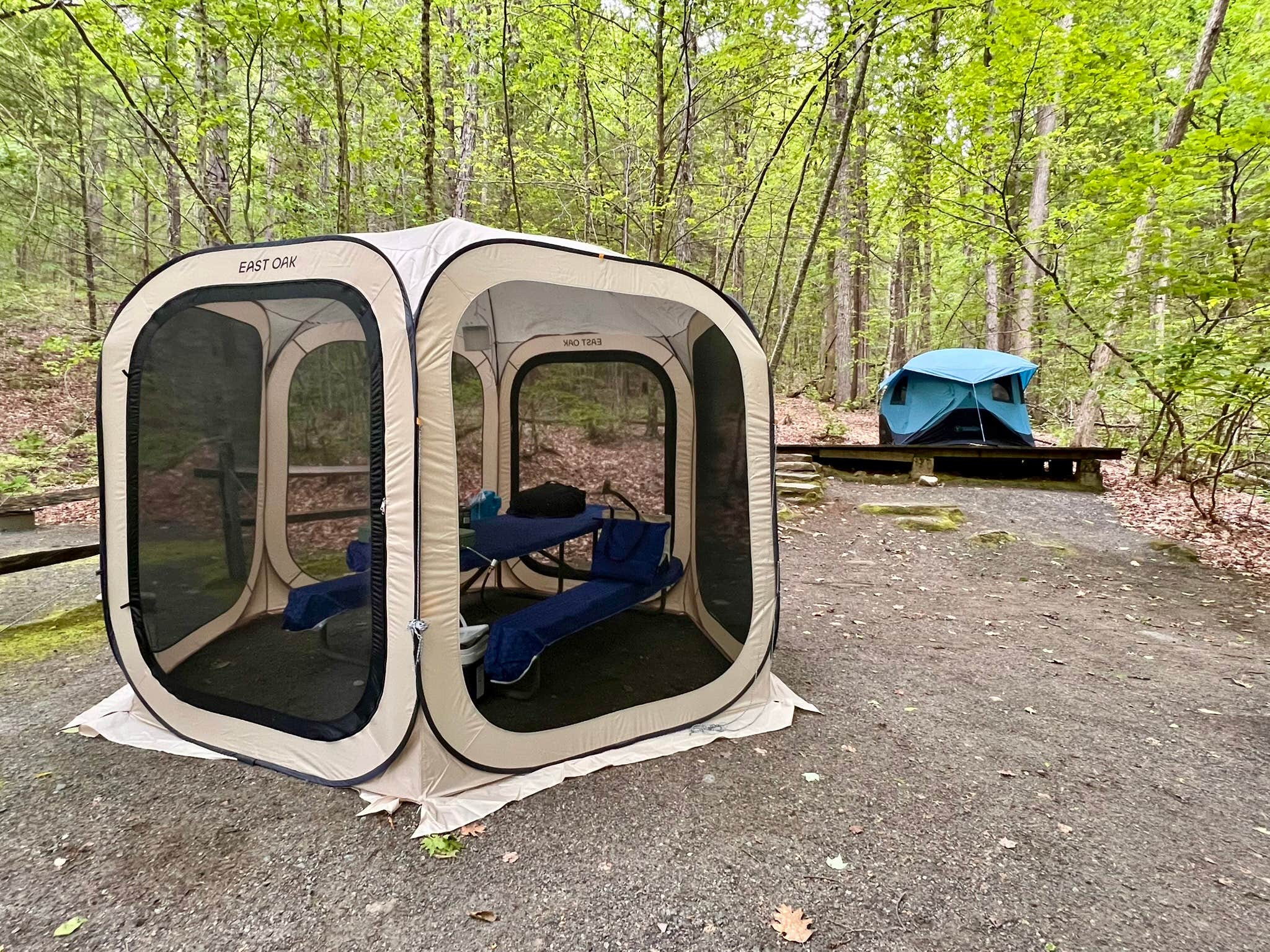 Camper-submitted photo at Townshend State Park — Townshend State Forest near Townshend, VT