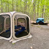 Review photo of Townshend State Park — Townshend State Forest by Lourdes , June 5, 2026