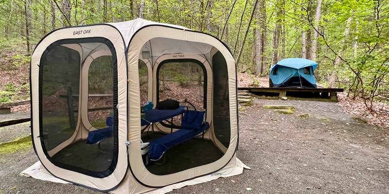 Camper submitted image from Townshend State Park — Townshend State Forest