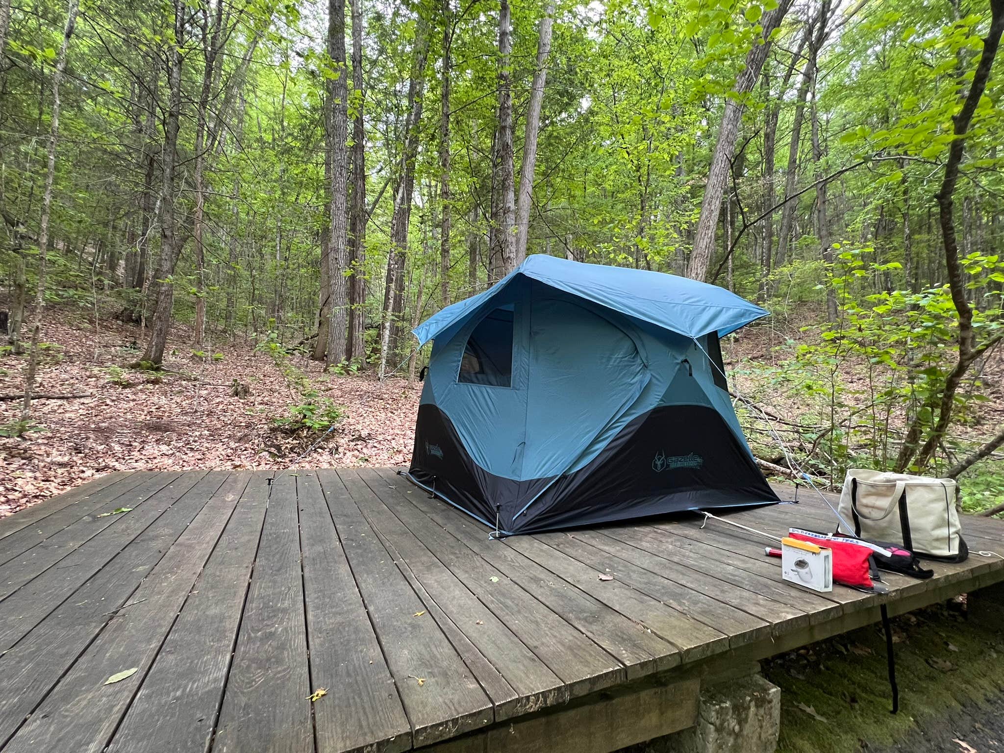 Camper-submitted photo at Townshend State Park — Townshend State Forest near Townshend, VT