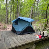 Review photo of Townshend State Park — Townshend State Forest by Lourdes , June 5, 2026