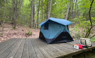 Lourdes's photo at Townshend State Park — Townshend State Forest near Westminster, VT