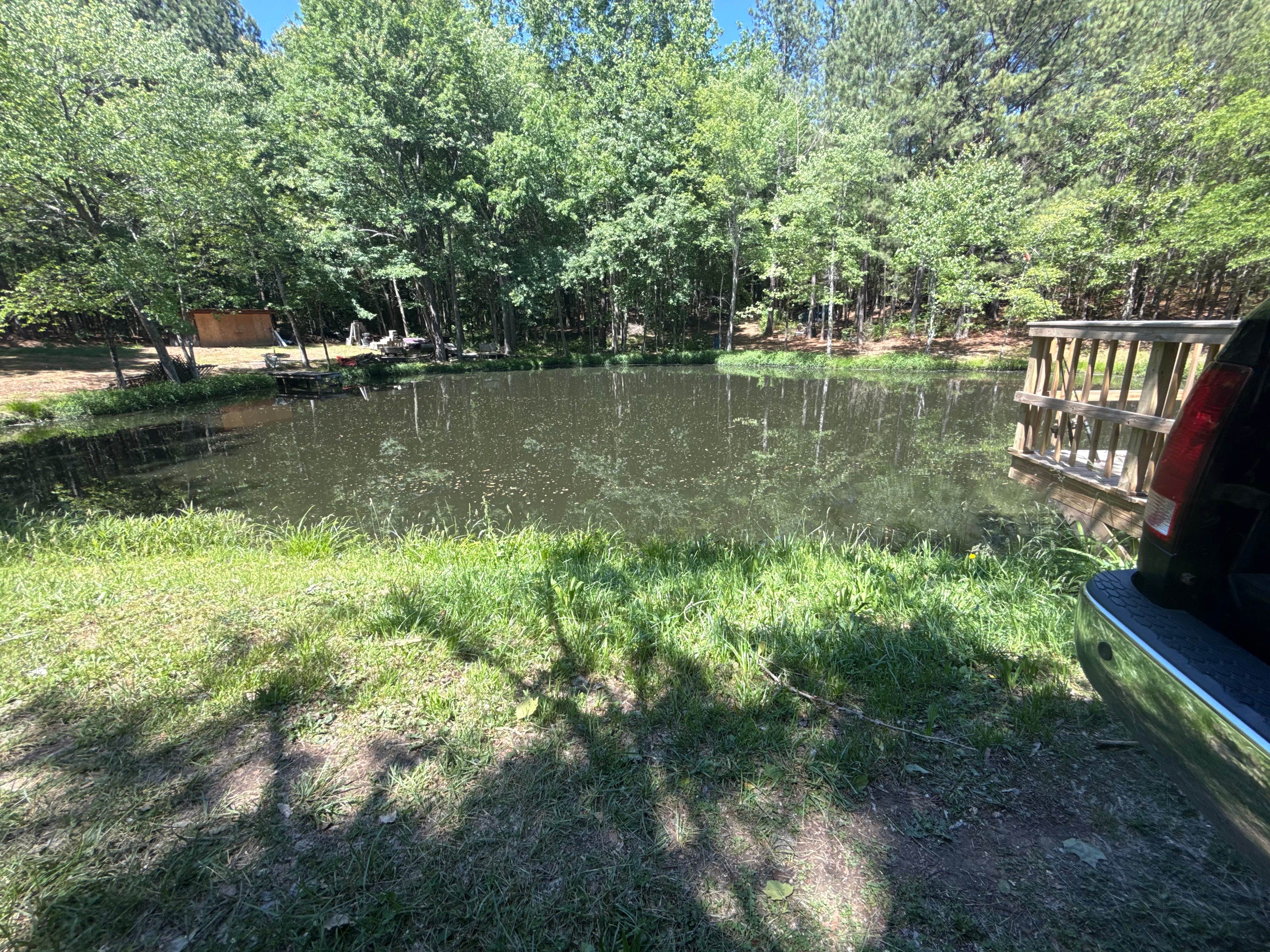 Camper-submitted photo at Camp Julia near China Grove, NC