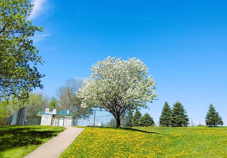 Camper-submitted photo at Cokato Lake RV Resort Cooperative Association near Dayton, MN