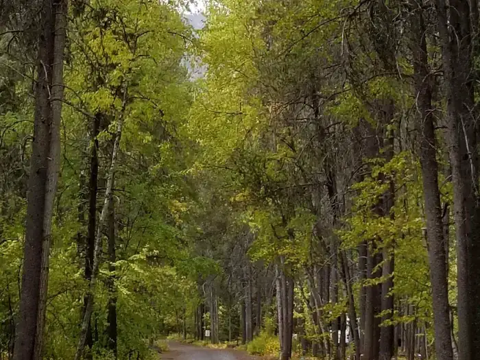 Camper-submitted photo at Apgar Campground — Glacier National Park in Montana