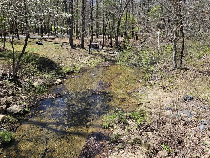 Camper-submitted photo at Otter Creek Campground — Blue Ridge Parkway near Monroe, VA