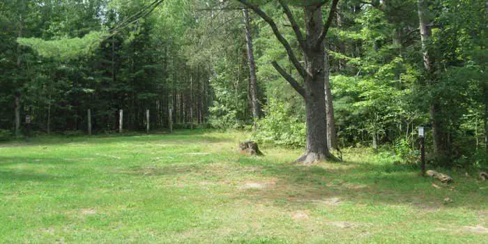 Camper submitted image from Swan Lake Campsites — Hiawatha National Forest
