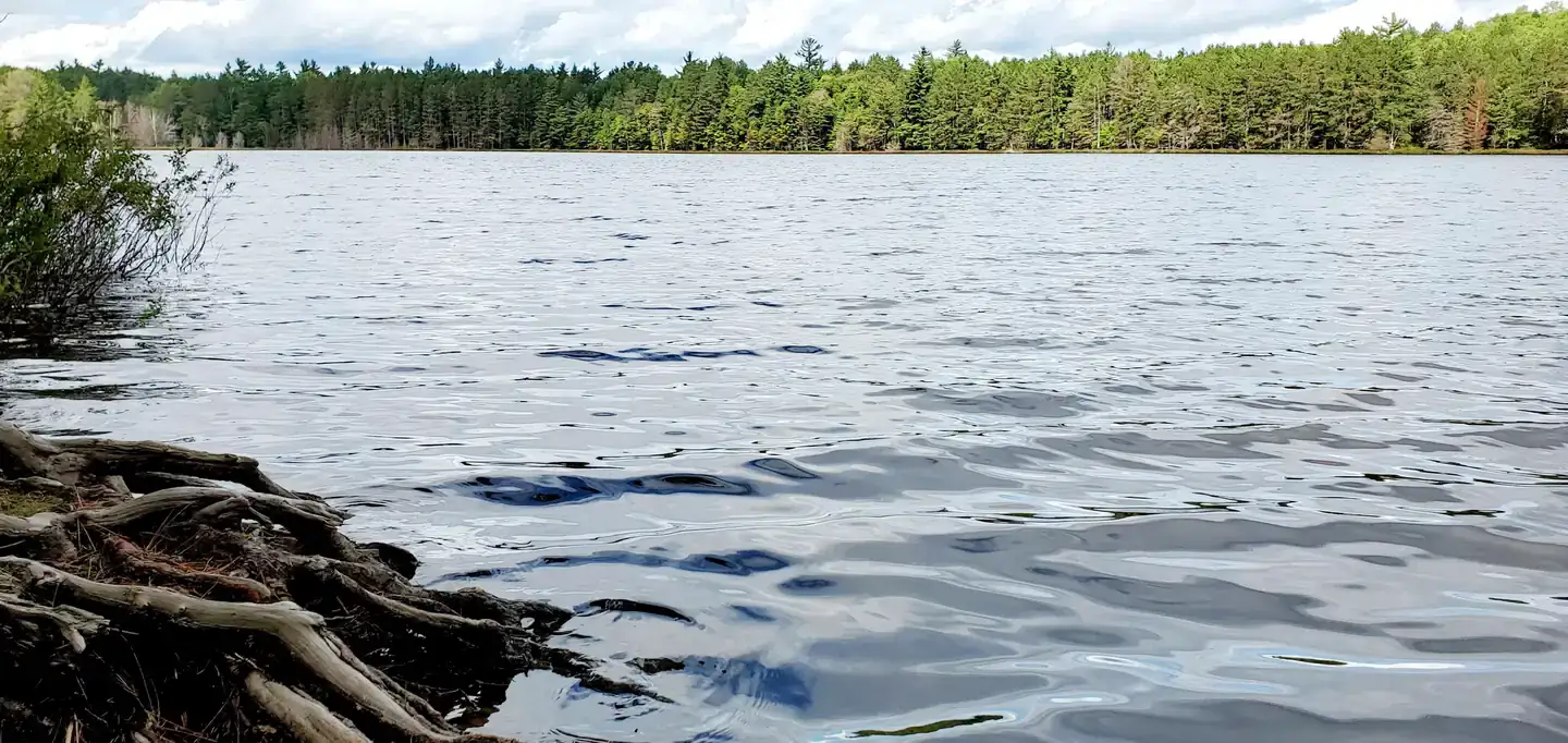 Camper-submitted photo at Swan Lake Campsites — Hiawatha National Forest near Wetmore, MI