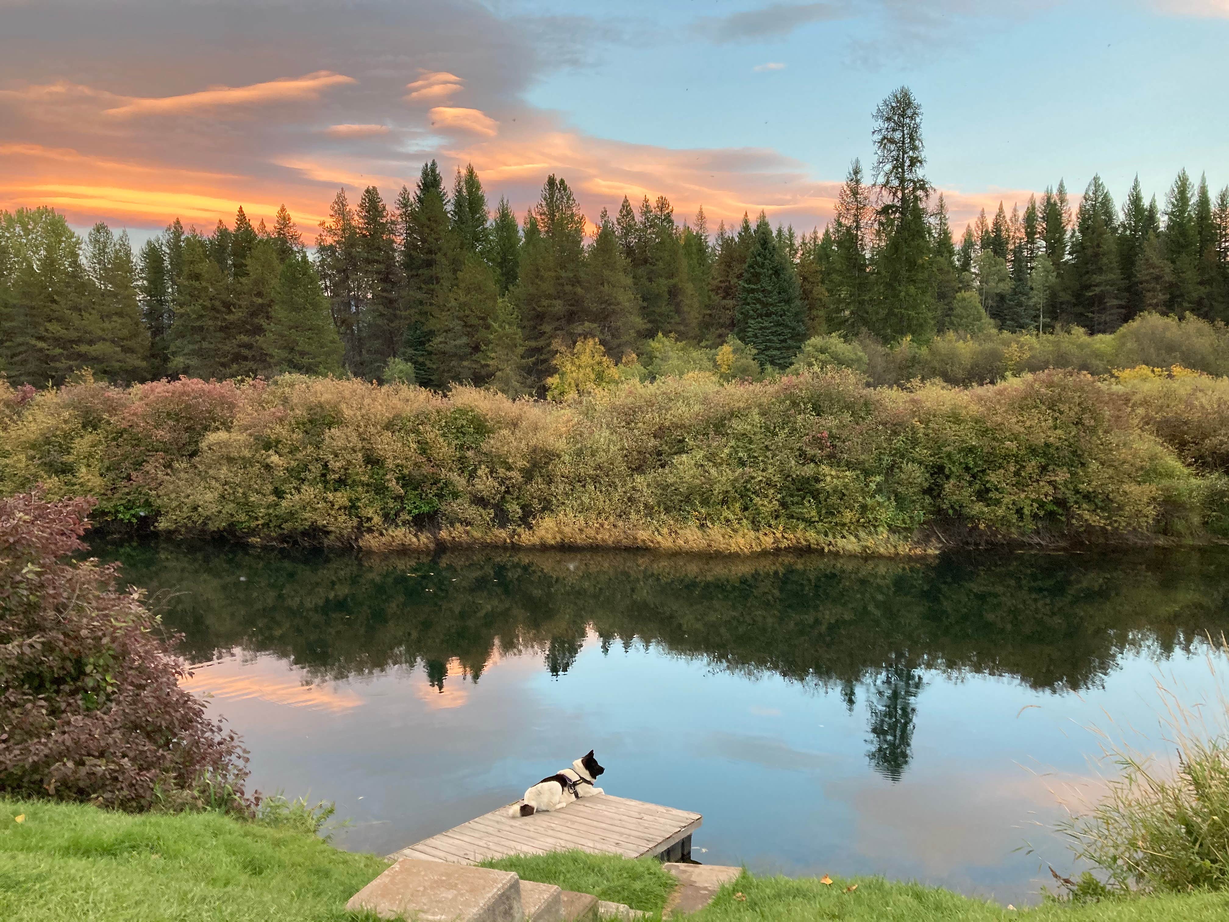 Camping near Upper Ford Cabin Rental: Shameless Oasis Lodging and Camping, Moyie Springs, Montana