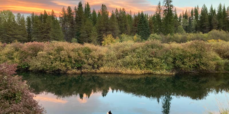Camper submitted image from Shameless Oasis Lodging and Camping