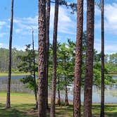Review photo of Sand Pond Campground — Pine Log State Forest by Brittany Claire M., June 6, 2026