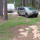 Review photo of Sand Pond Campground — Pine Log State Forest by Brittany Claire M., June 6, 2026