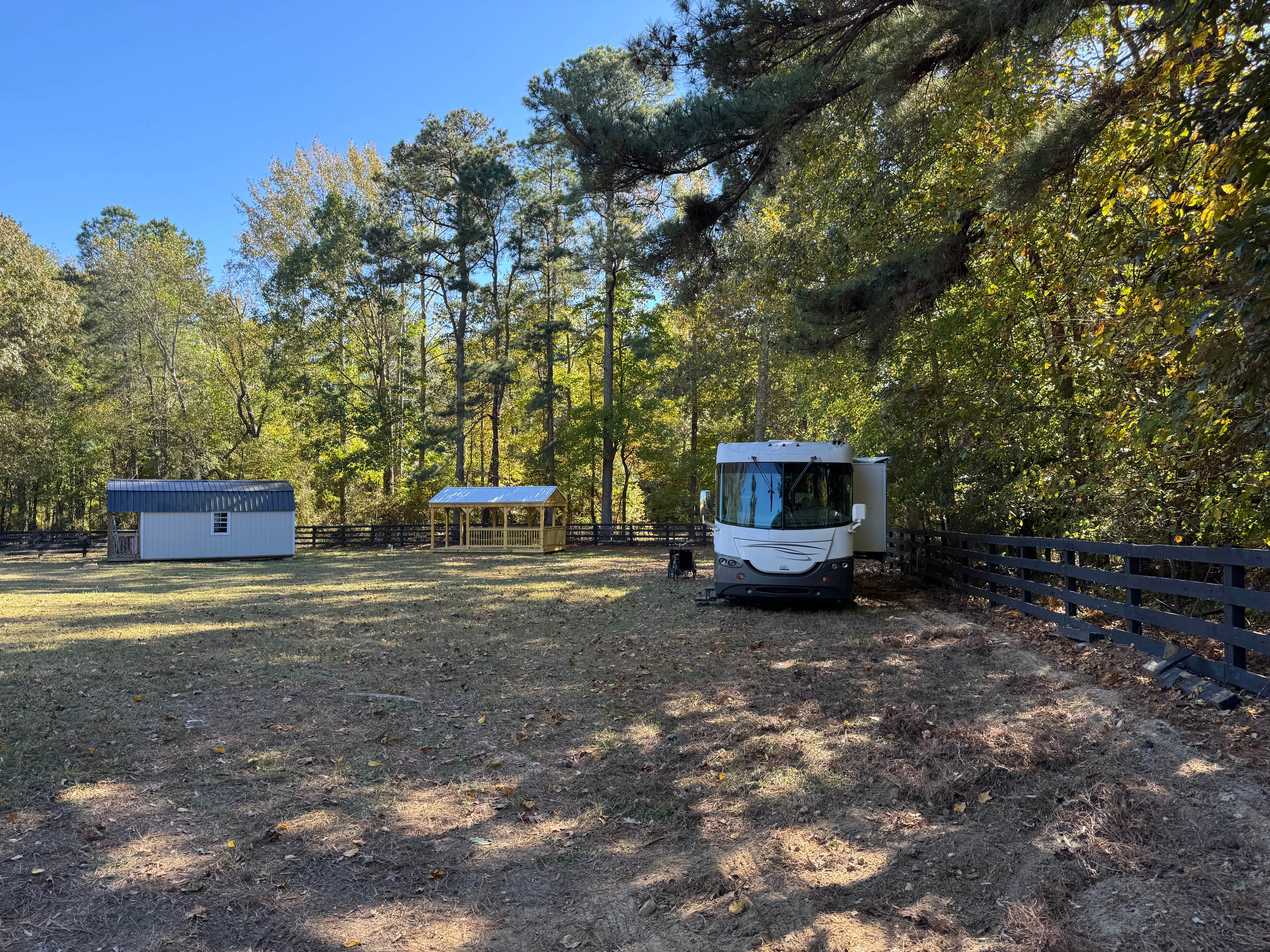 Alexandria M.'s photo at The Pines Horse Farm & Sanctuary near Chester, VA