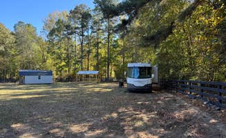 Alexandria M.'s photo at The Pines Horse Farm & Sanctuary near Dinwiddie, VA
