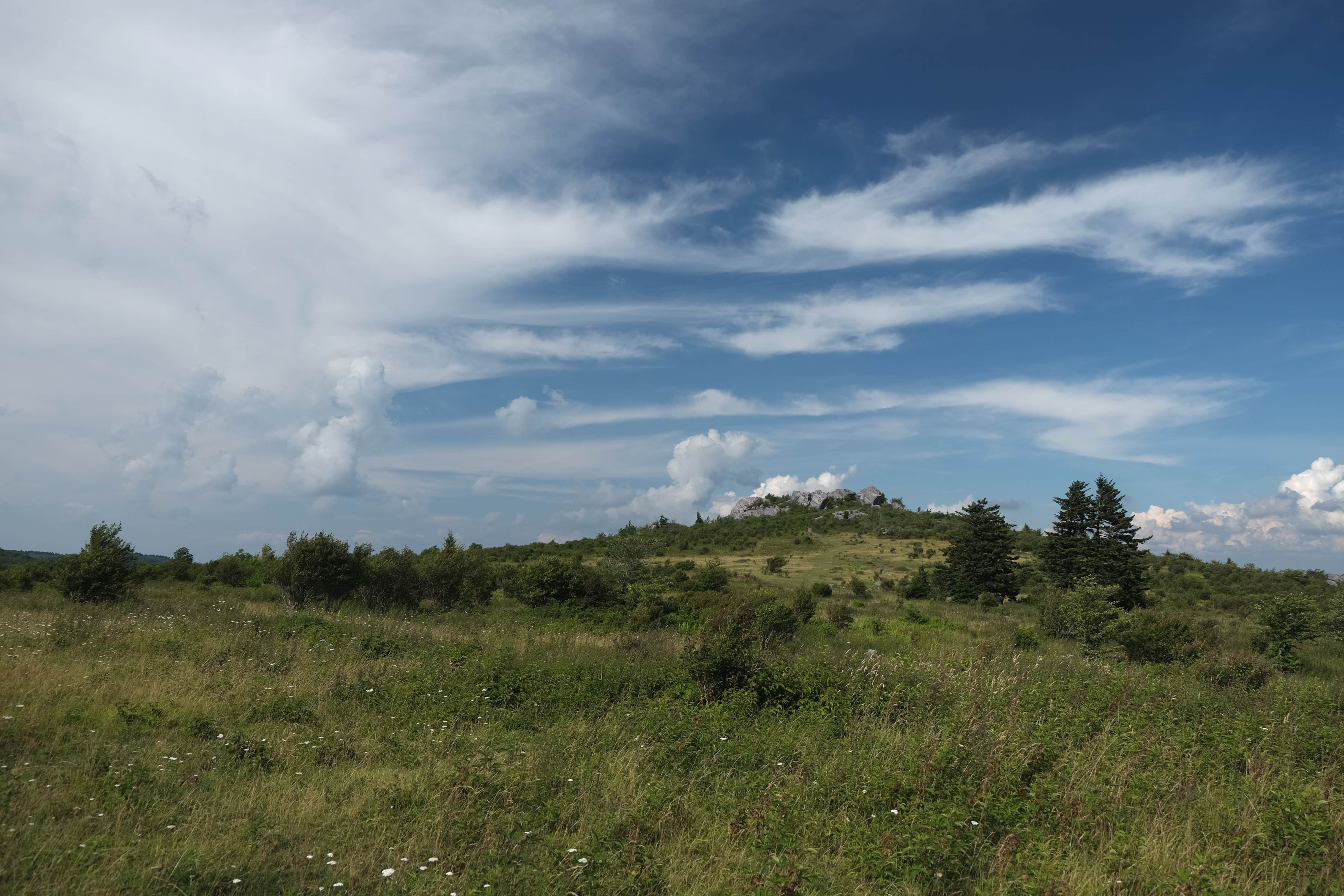 Hickory Ridge Campground — Grayson Highlands State Park