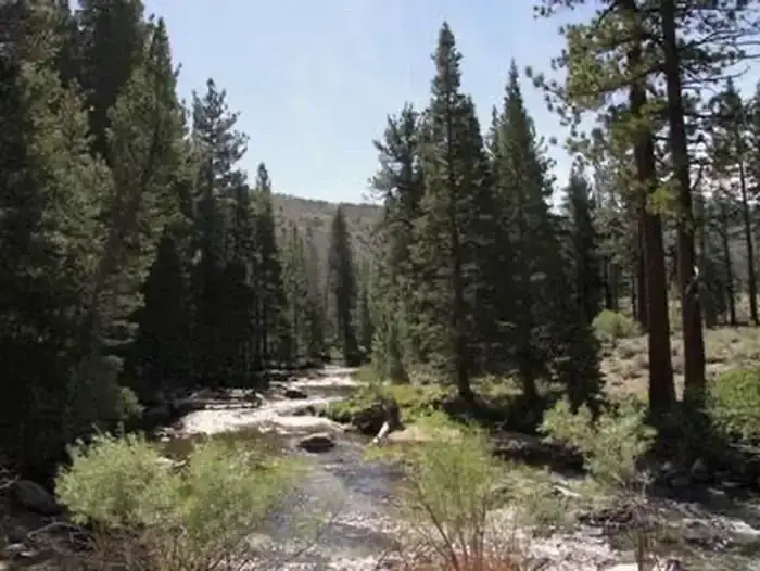 Camping near Honeymoon Flat: Toiyabe National Forest Paha Campground, Bridgeport, California