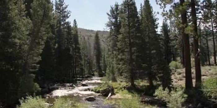 Camper submitted image from Toiyabe National Forest Paha Campground