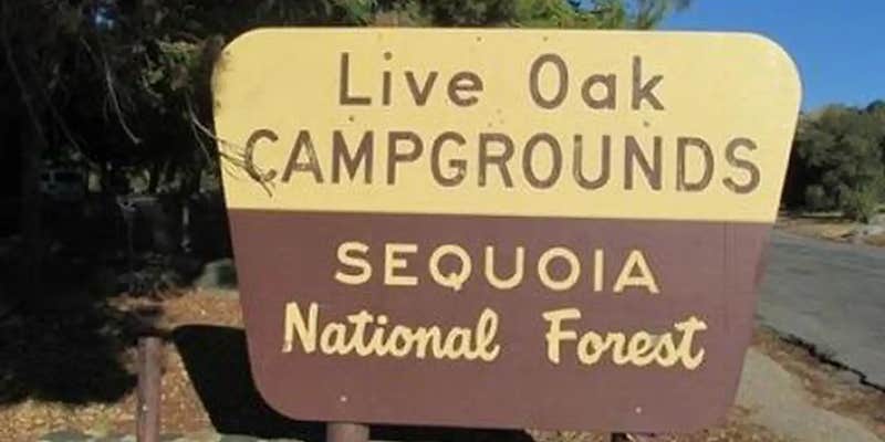 Camper submitted image from Live Oak North Campground