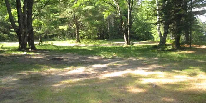Camper submitted image from Chicago Lake Campsites — Hiawatha National Forest