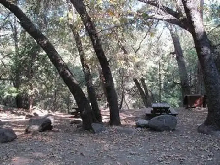 Camper-submitted photo at Wishon Campground near Camp Nelson, CA
