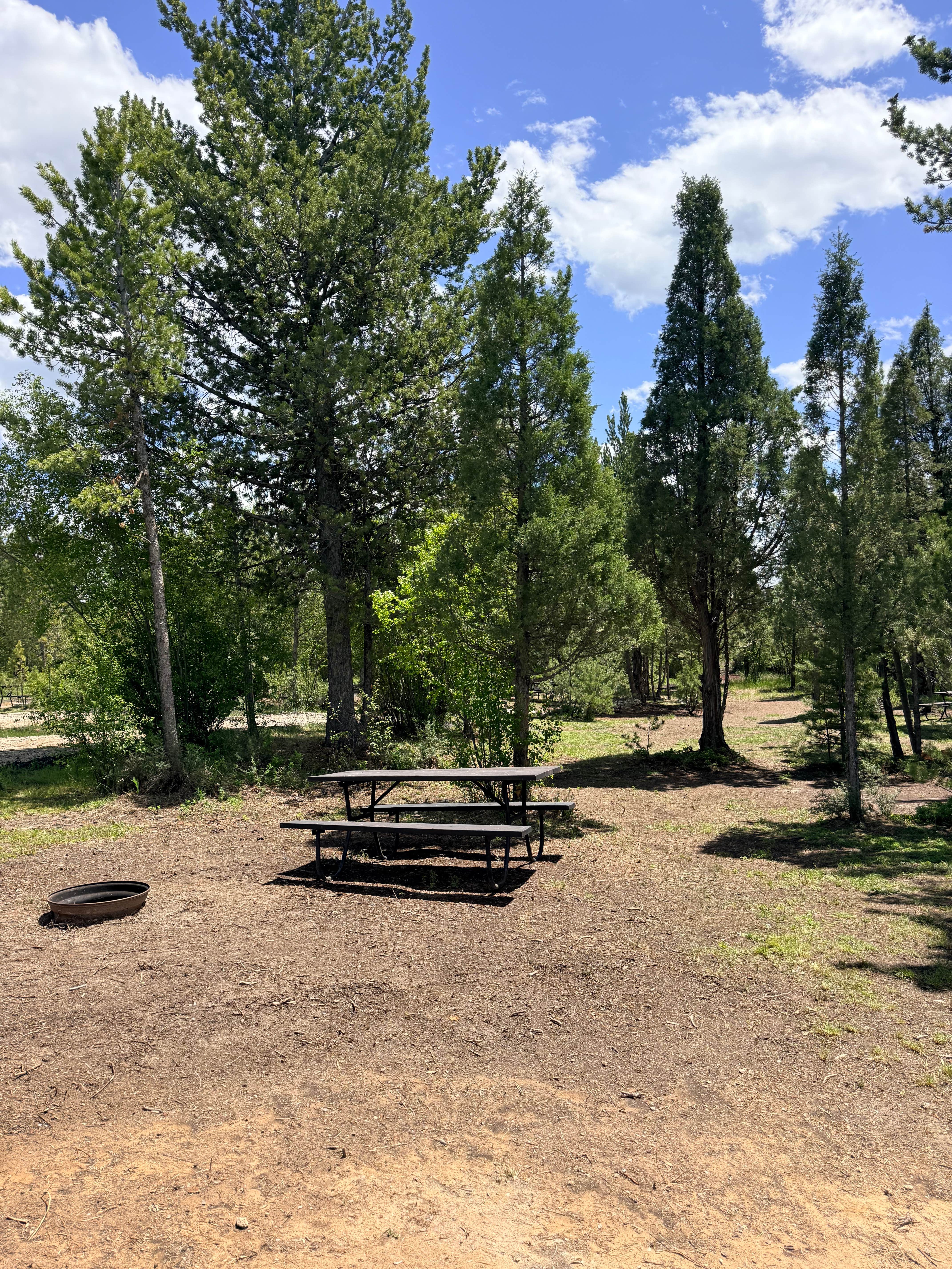 Camper-submitted photo at Soda Creek Campground near Soda Springs, ID