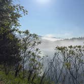 Review photo of Little River State Park Campground by Tara S., June 7, 2026