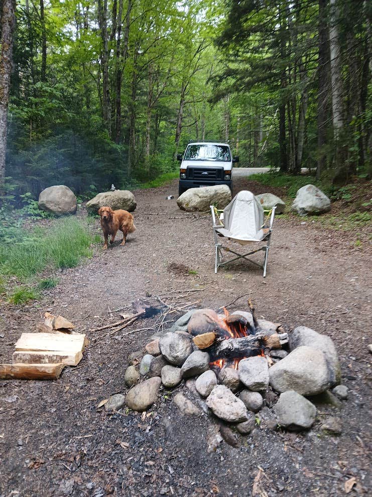 Camper-submitted photo at Gale River Loop Road near Littleton, NH