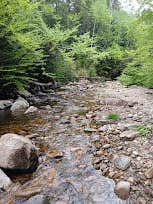 Camping near Greenleaf Hut: Gale River Loop Road, Deerfield, New Hampshire